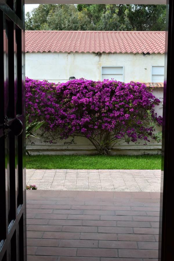 Casa Bedda Διαμέρισμα Agnone Bagni Εξωτερικό φωτογραφία